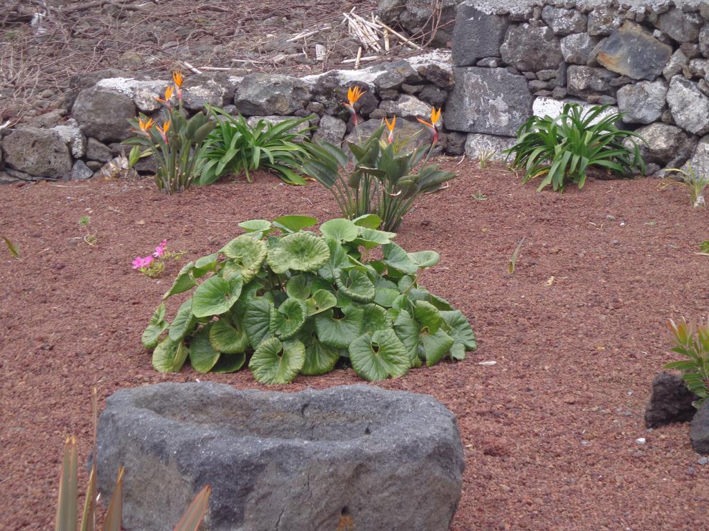 Apartamento Casa Da Vigia Calheta de Nesquim Exterior foto